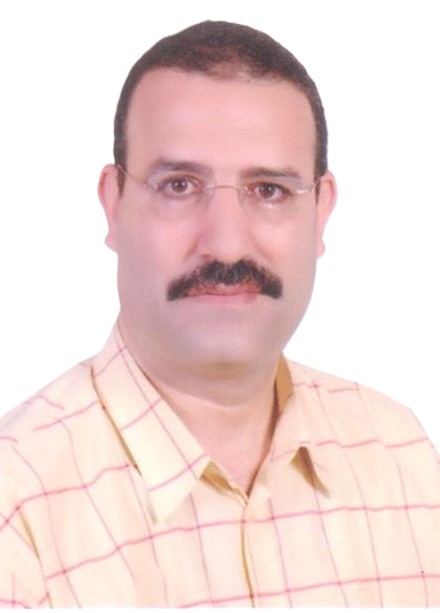 د. رأفت محمد عبد الحميد